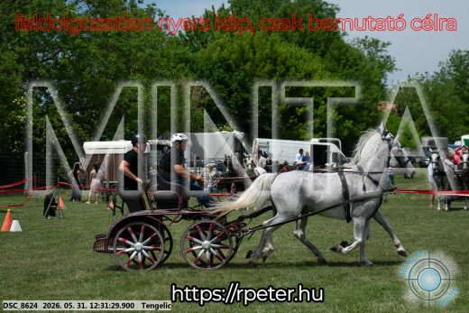 Mintakép 20260531-2245