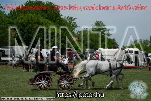 Mintakép 20260531-2246