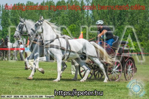 Mintakép 20260531-2247