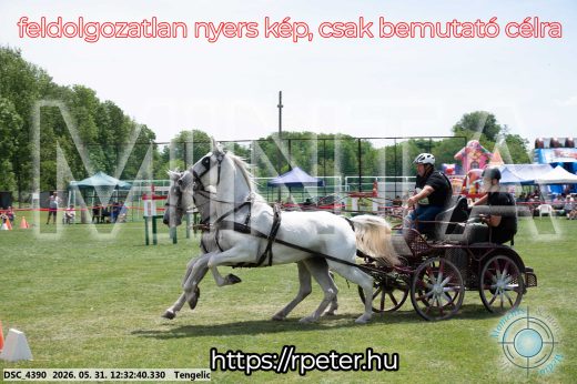 Mintakép 20260531-2259