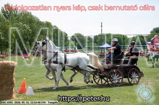 Mintakép 20260531-2260