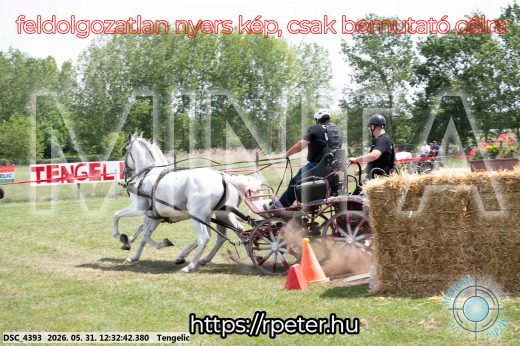Mintakép 20260531-2262