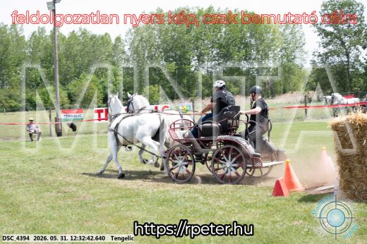 Mintakép 20260531-2263