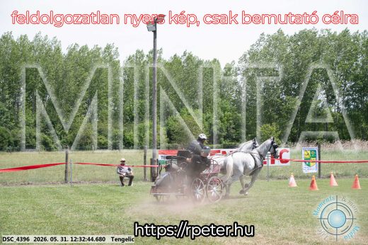 Mintakép 20260531-2265