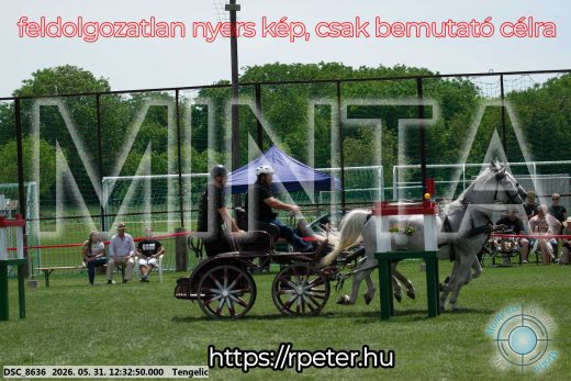 Mintakép 20260531-2267