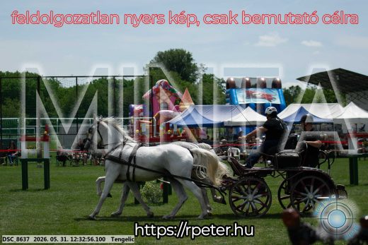Mintakép 20260531-2268