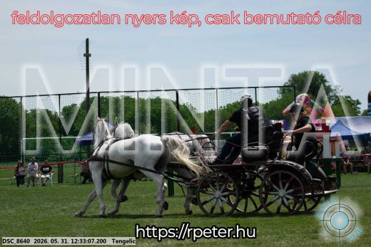Mintakép 20260531-2270