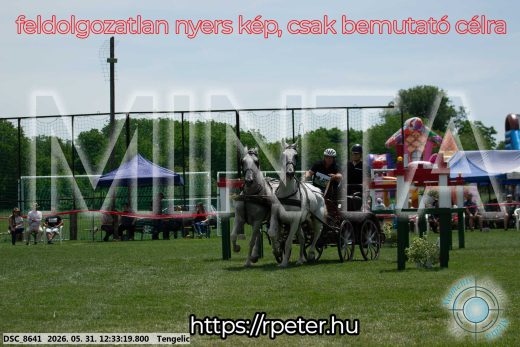Mintakép 20260531-2271