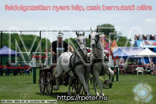Mintakép 20260531-2272
