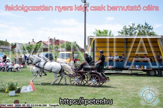 Mintakép 20260531-2276