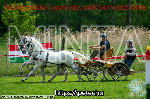 Mintakép 20260531-2357