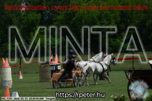 Mintakép 20260531-2361