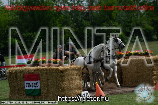 Mintakép 20260531-2362