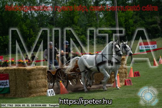 Mintakép 20260531-2364