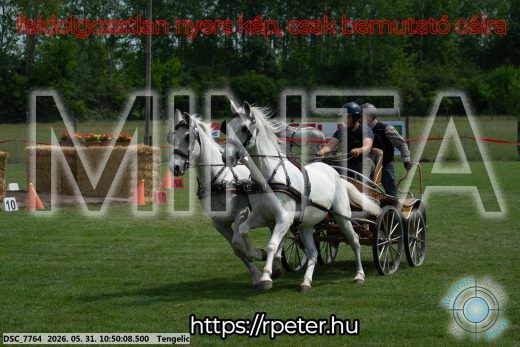 Mintakép 20260531-2366