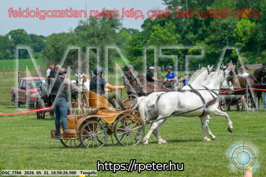 Mintakép 20260531-2368