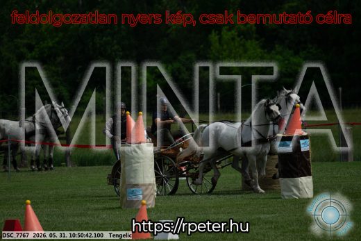 Mintakép 20260531-2369