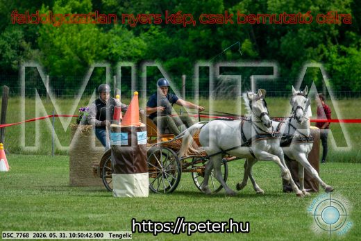 Mintakép 20260531-2370