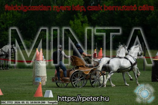 Mintakép 20260531-2374
