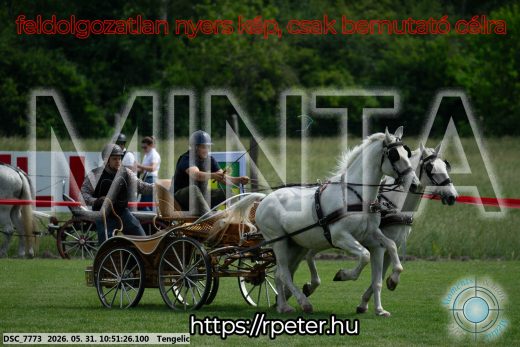 Mintakép 20260531-2375