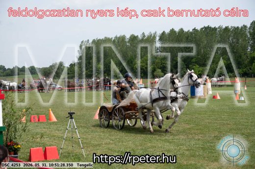 Mintakép 20260531-2377