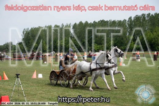 Mintakép 20260531-2378
