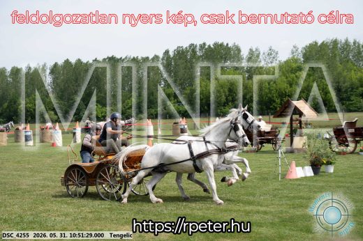 Mintakép 20260531-2380