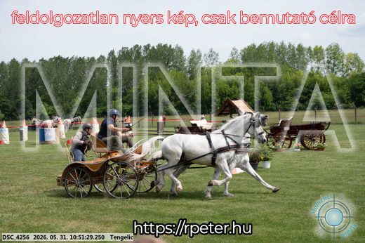 Mintakép 20260531-2381