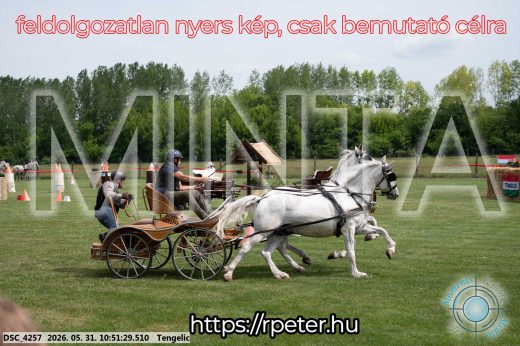 Mintakép 20260531-2382
