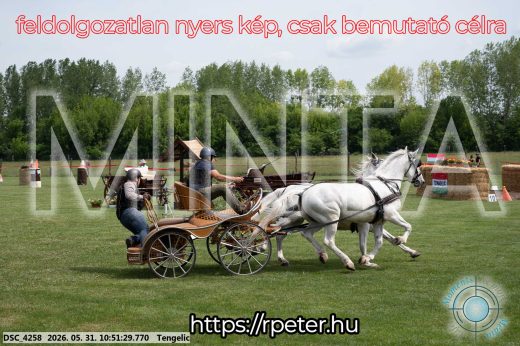 Mintakép 20260531-2383