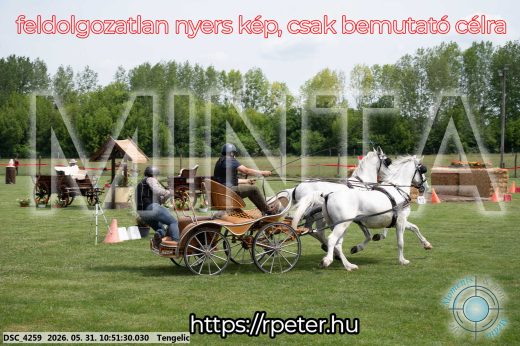 Mintakép 20260531-2384