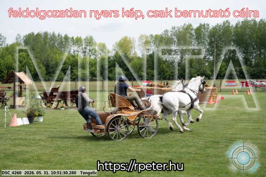 Mintakép 20260531-2385