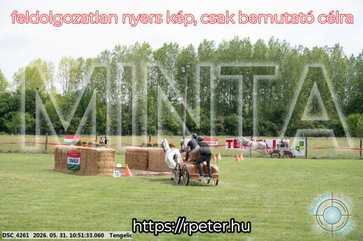 Mintakép 20260531-2387
