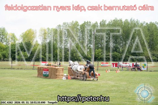 Mintakép 20260531-2388