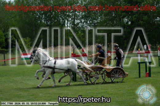 Mintakép 20260531-2393