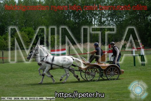 Mintakép 20260531-2394