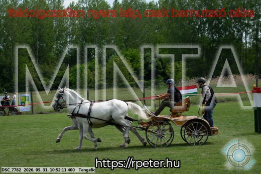 Mintakép 20260531-2395