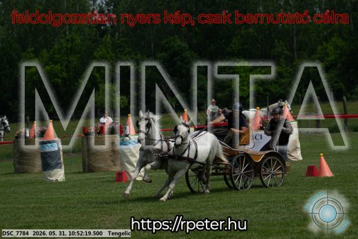 Mintakép 20260531-2397