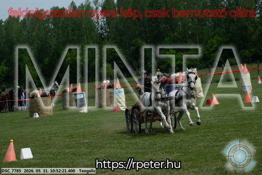 Mintakép 20260531-2398