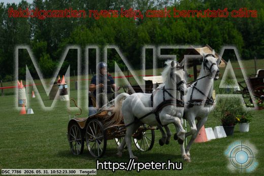 Mintakép 20260531-2399