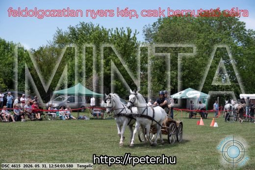 Mintakép 20260531-2402