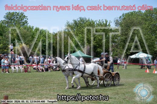 Mintakép 20260531-2404