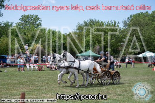 Mintakép 20260531-2405
