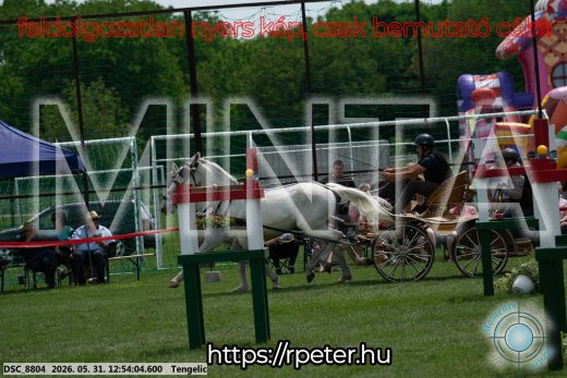Mintakép 20260531-2406