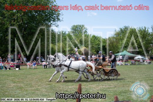 Mintakép 20260531-2408