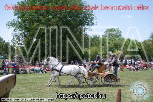 Mintakép 20260531-2409