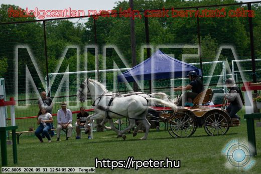 Mintakép 20260531-2410