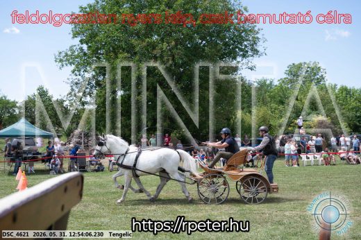 Mintakép 20260531-2411