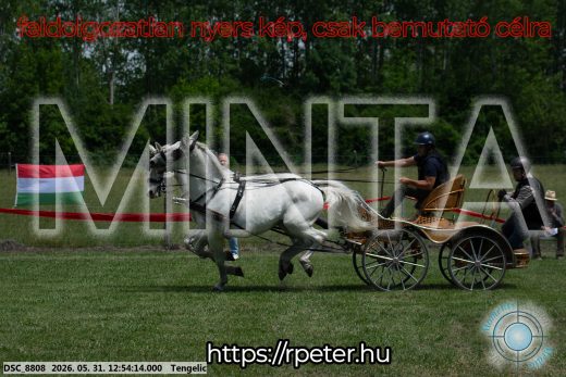 Mintakép 20260531-2414