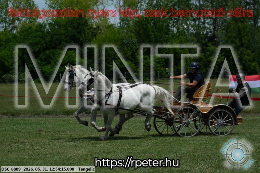 Mintakép 20260531-2415